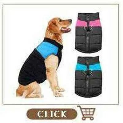 Regal Paws Waterproof Dog Jacket for Winter Walks