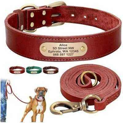 Royal Canine Elegance Personalised Dog Collar & Leash Set