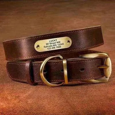 Royal Canine Elegance Personalised Dog Collar & Leash Set