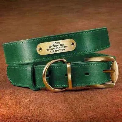 Royal Canine Elegance Personalised Dog Collar & Leash Set