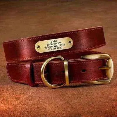 Royal Canine Elegance Personalised Dog Collar & Leash Set