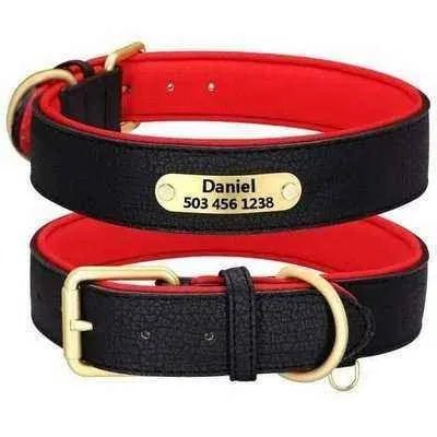 Royal Paws: Personalised Pooch Collar with Engraved ID Plate