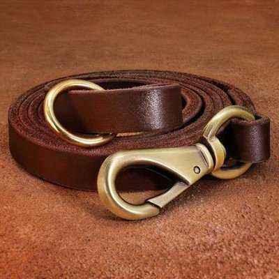 Premium Leather Dog Leash in Rich Brown, Dark Red, and Green