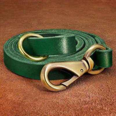 Premium Leather Dog Leash in Rich Brown, Dark Red, and Green