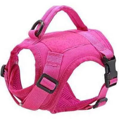 Luxury Tactical Nylon Cat Harness with Handle - Elite Pet Training and Walking Accessory