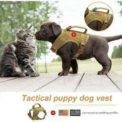 Luxury Tactical Nylon Cat Harness with Handle - Elite Pet Training and Walking Accessory